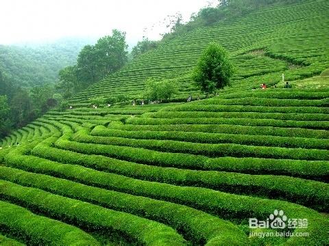 韓國全羅南道景點介紹