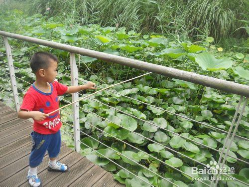 上海公園行：[5]後灘公園