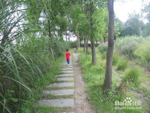 上海公園行：[5]後灘公園