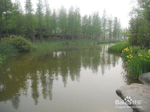 上海公園行：[5]後灘公園