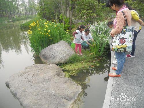 上海公園行：[5]後灘公園