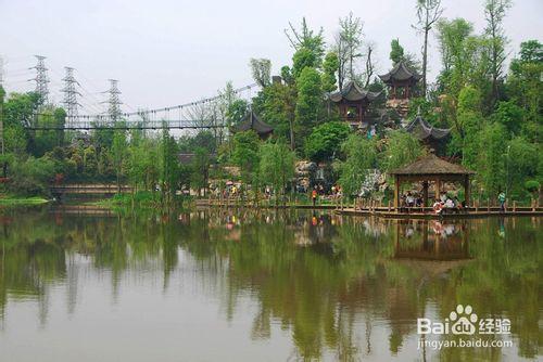 美麗的溼地公園