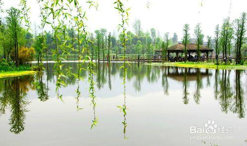 美麗的溼地公園