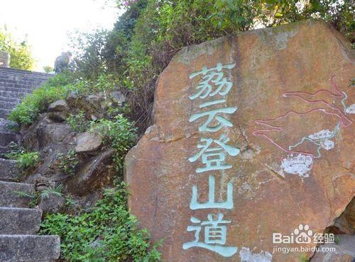 【深圳免費景點篇】塘朗山郊野公園遊玩攻略