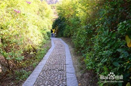 【深圳免費景點篇】塘朗山郊野公園遊玩攻略