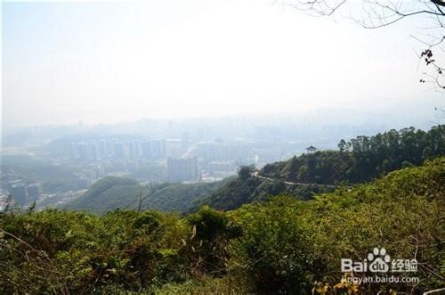 【深圳免費景點篇】塘朗山郊野公園遊玩攻略