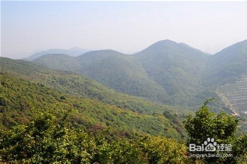 【深圳免費景點篇】塘朗山郊野公園遊玩攻略