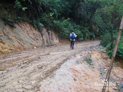 廣州郊野拉練路線：[4]牛木線外線攻略