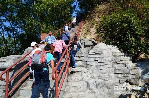 【深圳免費景點篇】塘朗山郊野公園遊玩攻略