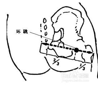 睡功之 “臥佛睡”