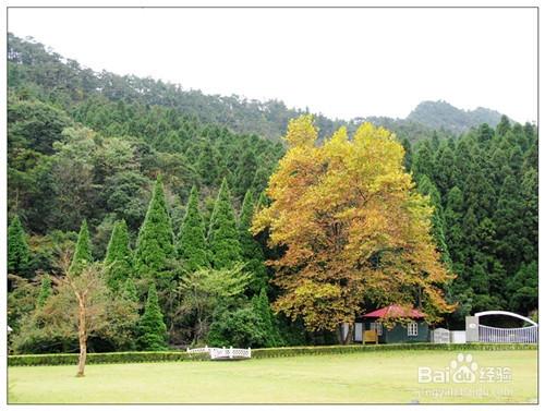 廬山旅遊攻略：廬山十景