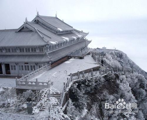 樂山大佛、峨眉山三日遊