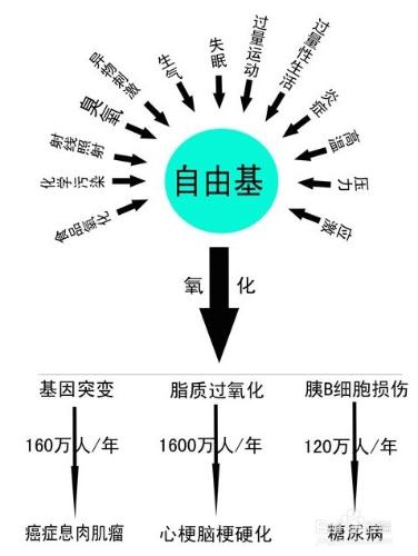 大揭祕！明星的逆生長是怎樣延緩衰老使青春永駐