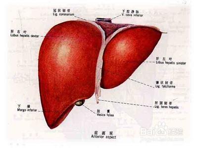 不放屁有壞處