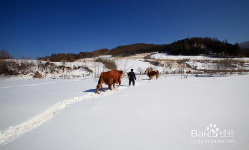 大雪節氣養生之道