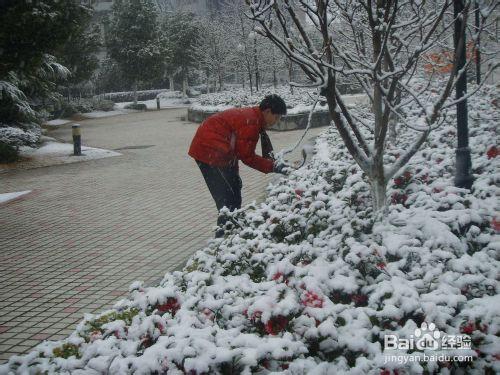 大雪節氣養生之道