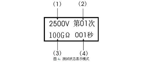 使用智慧雙顯絕緣電阻測試儀前的四項準備措施