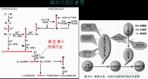 寶寶大便帶血怎麼辦？