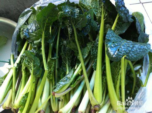 苔菜粉條燒肉——冬天燒菜暖暖的味道！