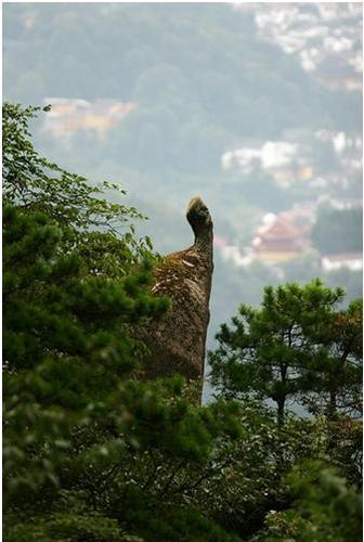 怎樣安排九華山寺廟行