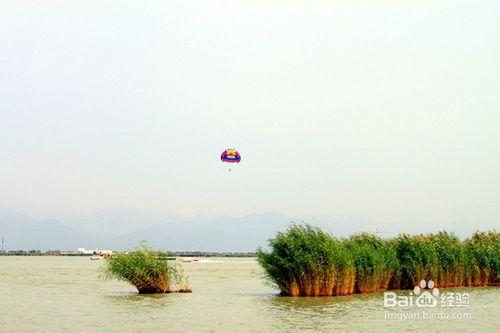 銀川沙湖十一旅遊指南