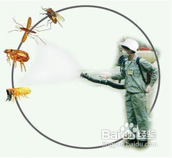 怎樣防治白蟻