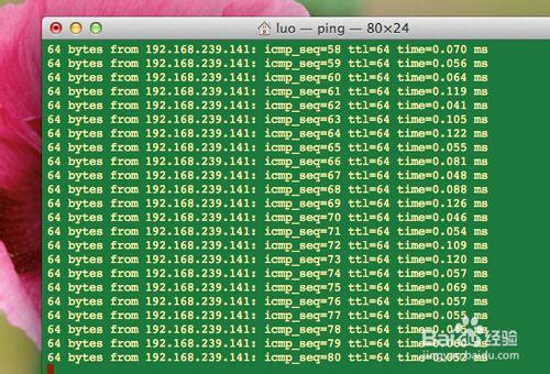 蘋果MAC電腦怎麼開啟終端怎麼ping？
