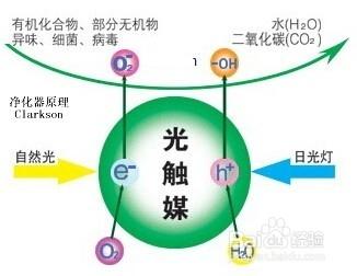 帶你瞭解空氣淨化器？淨化器選購