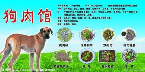 大蒜的功效與作用 大蒜不能和什麼一起吃