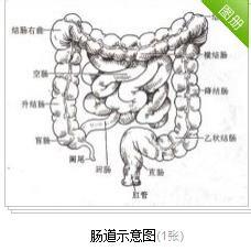 我與結腸的故事