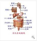 我與結腸的故事