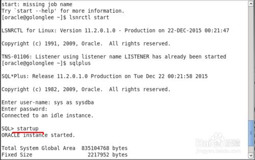 啟動Linux中的資料庫例項