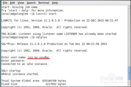 啟動Linux中的資料庫例項