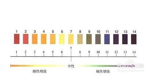 如何挑選面霜，怎麼判斷面霜的好壞