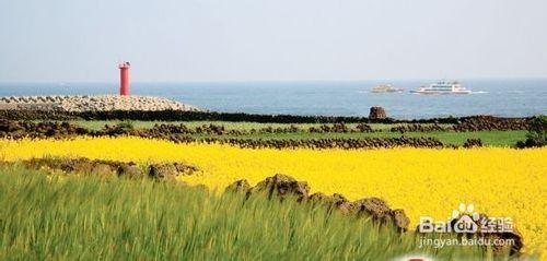 韓國旅遊景點推薦-島嶼篇（上）