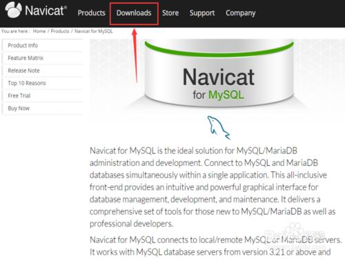 如何使用Navicat連線MySQL