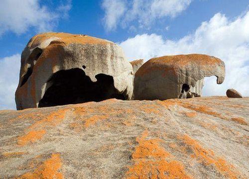 澳大利亞旅遊袋鼠島看奇石攻略