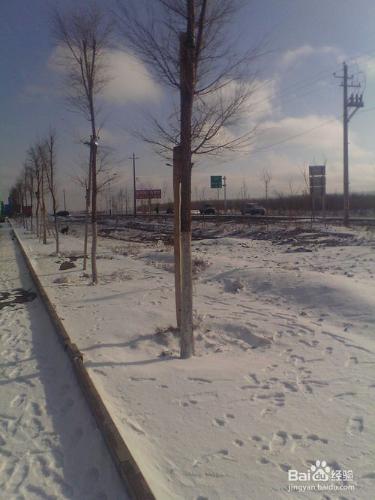 冬季雪路駕車（雪景分享）