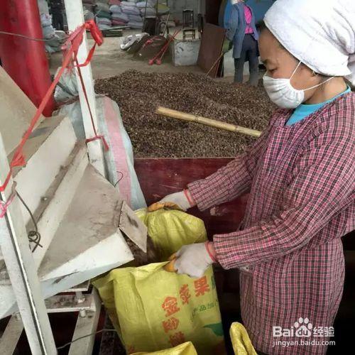 山茶油的妙用