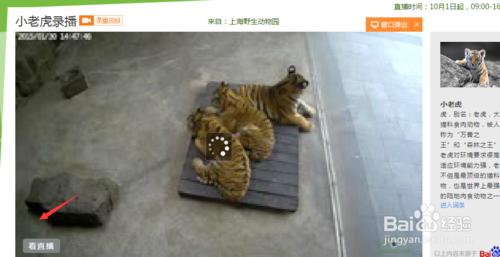 怎麼使用百度動物園