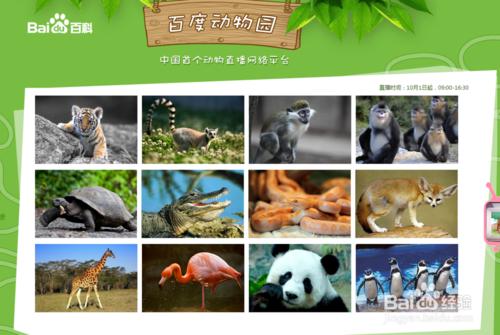 怎麼使用百度動物園