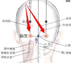 腦空穴穴位位置圖及作用