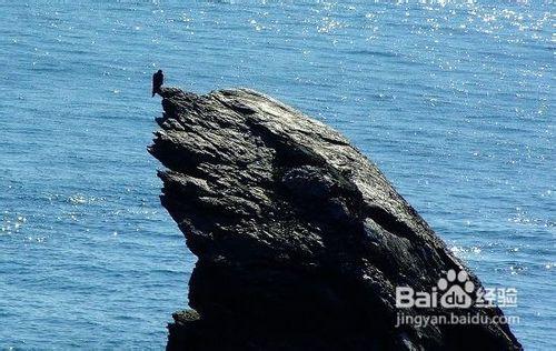 獐子島旅遊攻略