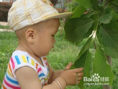 夏季如何給寶寶解暑降溫