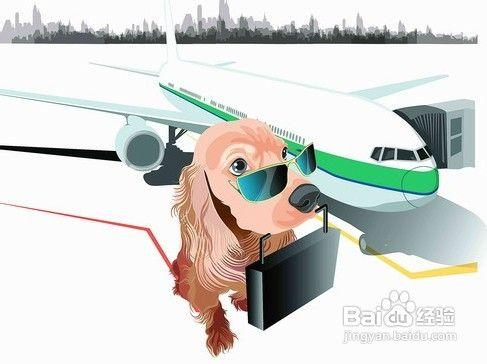 乘飛機可以帶寵物嗎，如何辦理寵物託運？