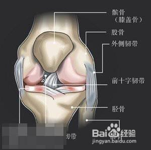 引起膝關節骨質增生的原因是什麼