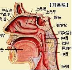 三叉神經痛治療前期要做哪些檢查呢