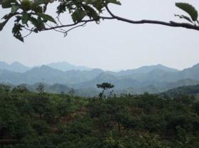 北京黑山寨介紹