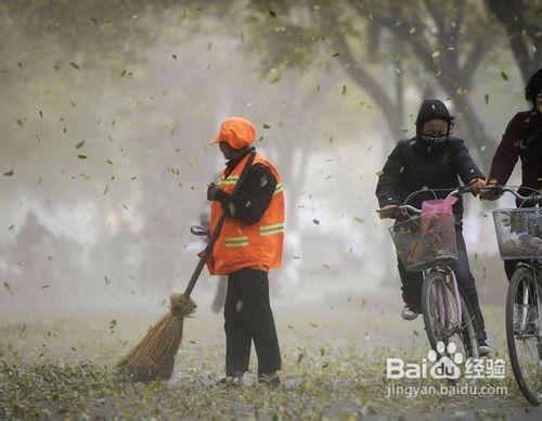 大風天氣保健養生常識