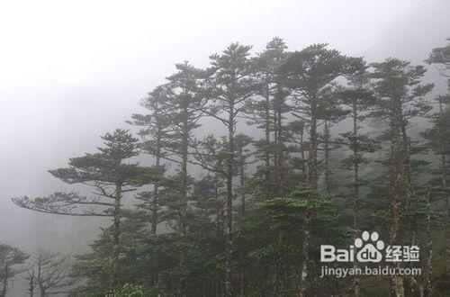 雲南六日旅遊攻略，景點和路線推薦